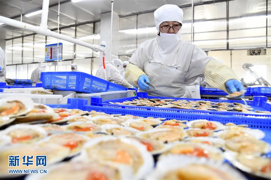 積極發展海洋食品加工產業，構建全產業鏈協同發展新格局