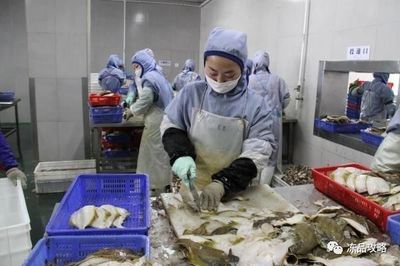 俄羅斯原料主導未來？琿春海產加工業迎來新動力